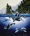 Orcas Playground (Oil)